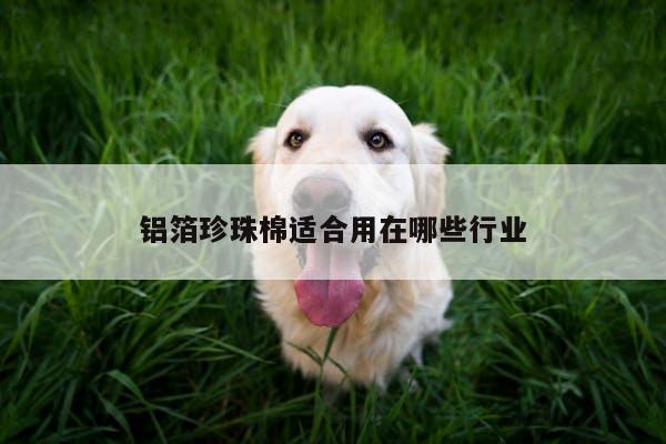 铝箔珍珠棉适合用在哪些行业