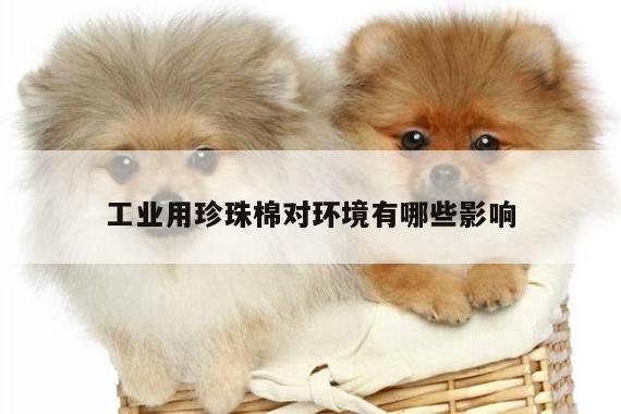 工业用珍珠棉对环境有哪些影响